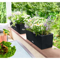 LECHUZA Jardiniere - Balconera Cottage 50 - 50 x 19 x 19 - Komplettset - Graphitschwarz - 8 L