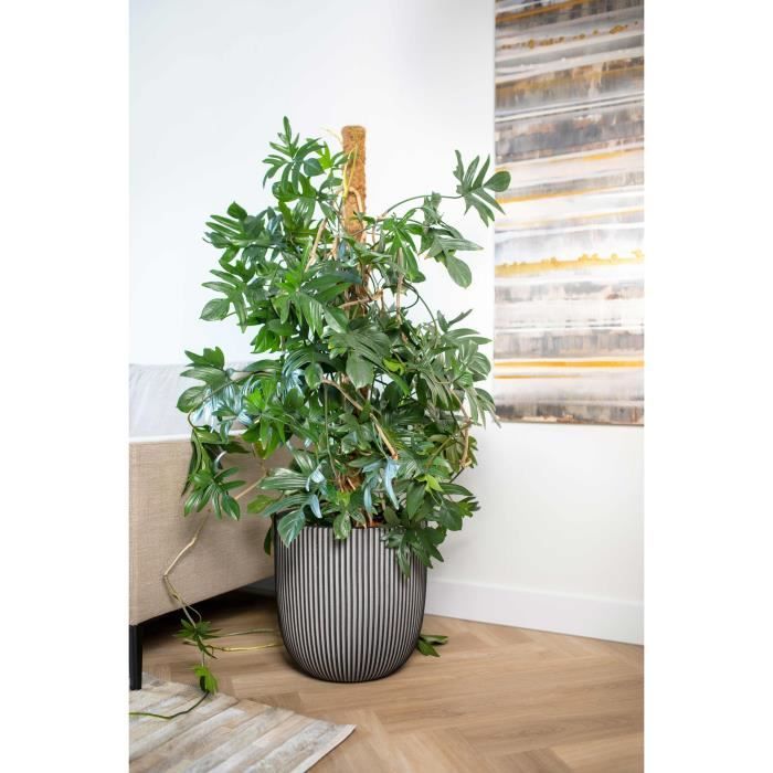 Ball flower pot - CAPI EUROPE - GROOVE NL - 43 x 41 cm - Anthracite