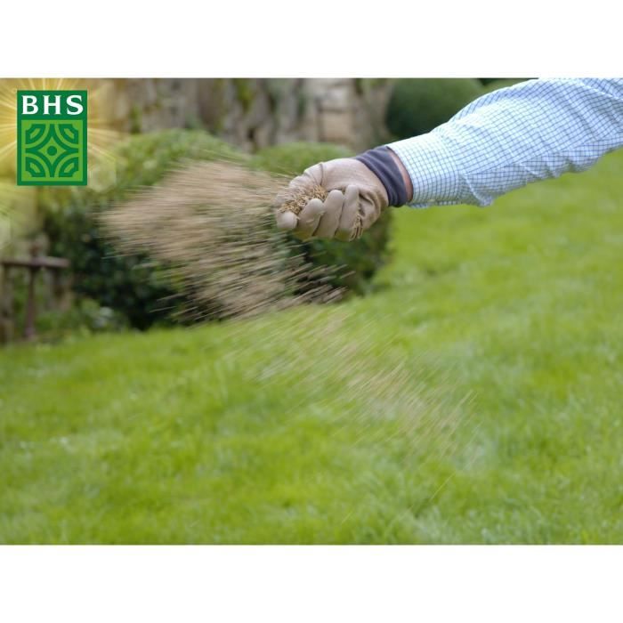 Lawn - BHS - Lawn Regrowth 5kg
