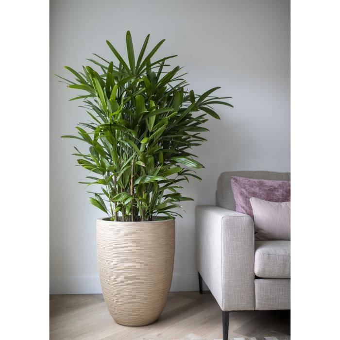 Elegant low vase - CAPI EUROPE - WASTE RIB NL - 46 x 58 cm - Beige terrazzo