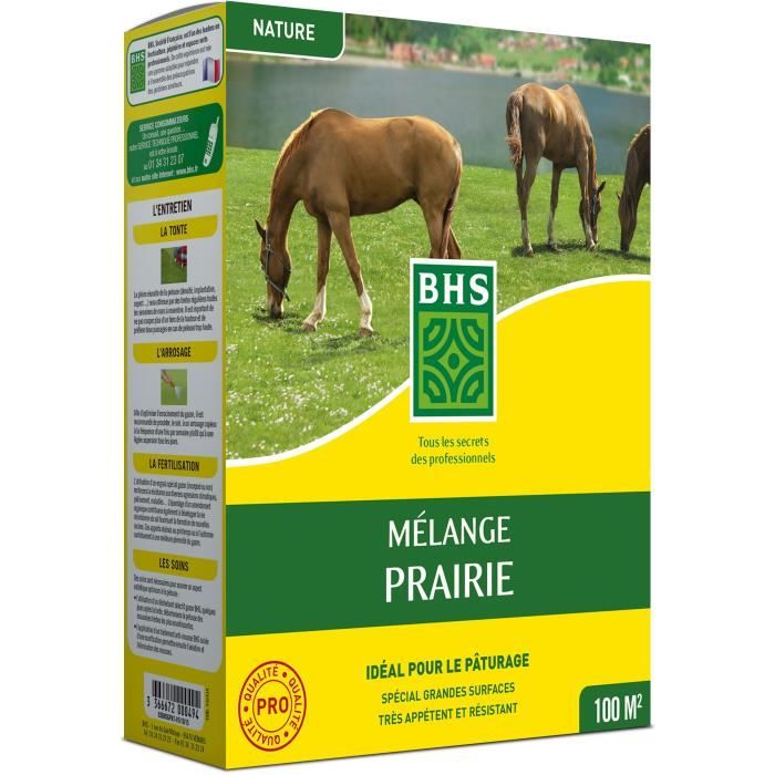 Lawn - BHS - Meadow Mix 1kg | 40m² | For extensive areas and pastures | Quick to install, durable, m