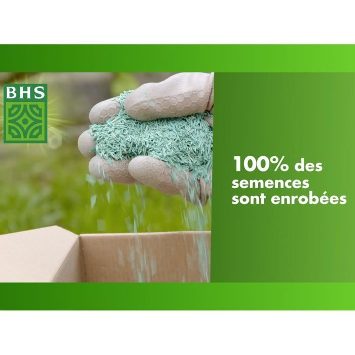 Lawn - BHS - Rustic South Lawn - 1kg, 40 m². Resistant to dry conditions thanks to tall fescue. Fast