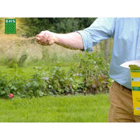 Lawn - BHS - Rustic South Lawn - 1kg, 40 m². Resistant to dry conditions thanks to tall fescue. Fast
