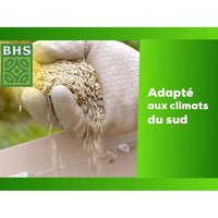 Lawn - BHS - Rustic South Lawn - 1kg, 40 m². Resistant to dry conditions thanks to tall fescue. Fast