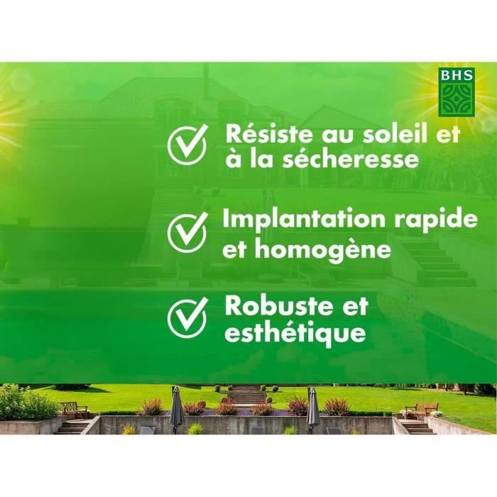 Lawn - BHS - Rustic South Lawn - 1kg, 40 m². Resistant to dry conditions thanks to tall fescue. Fast