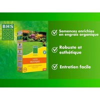 Lawn - BHS - Rustic Lawn 1 KG - Stronger and better protected - Fast and Durable - All Types of Terr