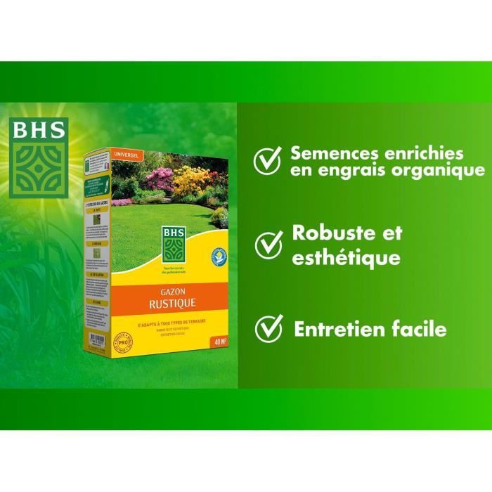 Lawn - BHS - Rustic Lawn 1 KG - Stronger and better protected - Fast and Durable - All Types of Terr