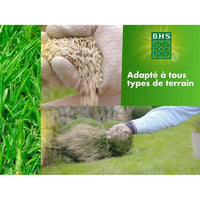 Lawn - BHS - Rustic Lawn 1 KG - Stronger and better protected - Fast and Durable - All Types of Terr