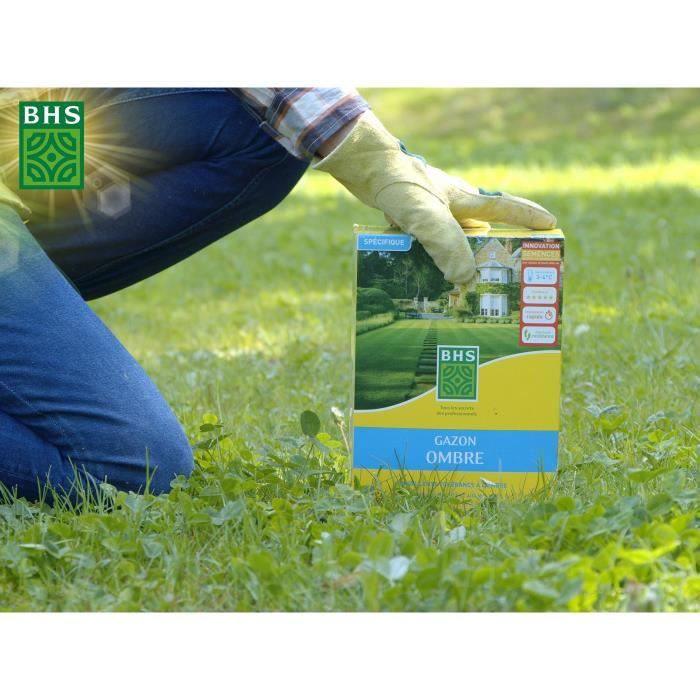 Lawn - BHS - Shade Lawn 1kg | 40m² | Resistant to low light and shaded areas.