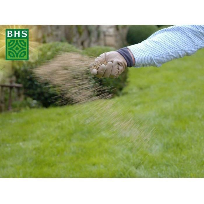 Rustic Grass - BHS - 3 kg Box - Resistant to harsh weather conditions - Sun - Red