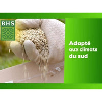 Lawn - BHS - Seaside Lawn 10kg | Resistant to wind, drought, and salt | Beautiful, attractive, and r
