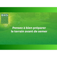 Lawn - BHS - Seaside Lawn 10kg | Resistant to wind, drought, and salt | Beautiful, attractive, and r