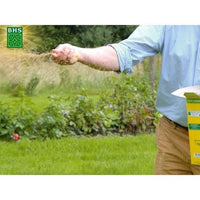 Lawn - BHS - Seaside Lawn 10kg | Resistant to wind, drought, and salt | Beautiful, attractive, and r