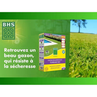 Lawn - BHS - Lawn Regrowth 1kg