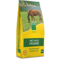 Grass - BHS - Meadow Mix 5kg | 500m² | For extensive areas and pastures | Quick to install, durable,