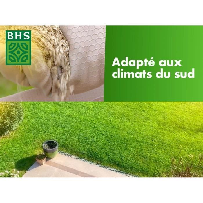 Lawn - BHS - Rustic South Lawn - 10kg - Resistant to dry conditions thanks to tall fescue. Fast and 