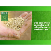 Dry Ground Regrowth Turf - BHS - 3kg | 150 m² | Strong and durable, with excellent durability and to