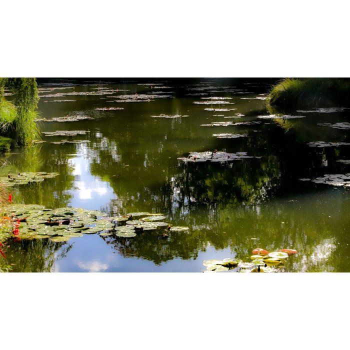 Teichklärer  BSI  Aqua Clear  4 kg  Grünes und trübes Wasser  Intensivbehandlung  Für Teich un