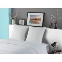 Luxor pillow dodo 60x60 cm - 100% cotton - down effect