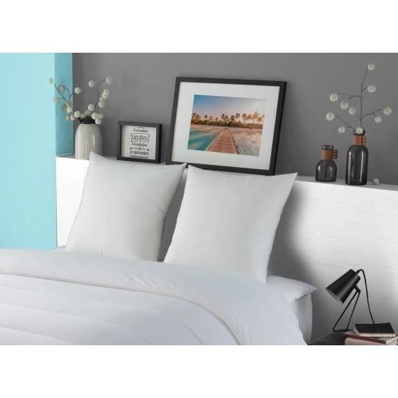 Luxor pillow dodo 60x60 cm - 100% cotton - down effect