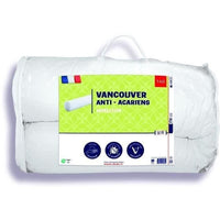 VANCOUVER bolster 160 cm - anti-mite - 100% Polyester - DODO