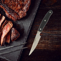 4er-Set Steakmesser - NIROSTA - 22 cm