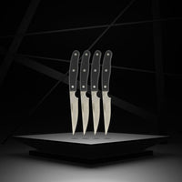 4er-Set Steakmesser - NIROSTA - 22 cm