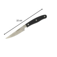 4er-Set Steakmesser - NIROSTA - 22 cm