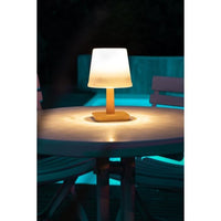 GALIX G4410 solar table lamp - 25 Lumens - H20 cm