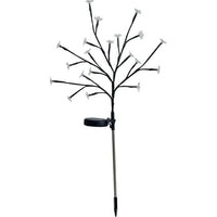 Solar flowering shrub - GALIX - G4505 - H72