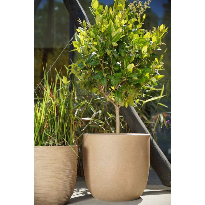 Kugeltopf  CAPI EUROPE  Glatt NL  43 x 41 cm  Beige