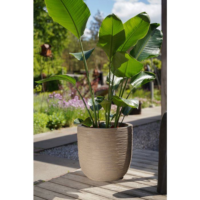 Kugeltopf  CAPI EUROPE  Rib NL  43 x 41 cm  Beige