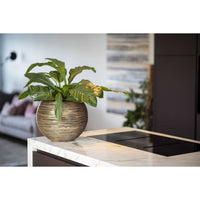 Ball vase - CAPI EUROPE - RIB NL - 40 x 32 cm - Black / Gold