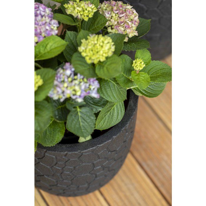 Kugeltopf  CAPI EUROPE  Ton NL  43 x 41 cm  Schwarz