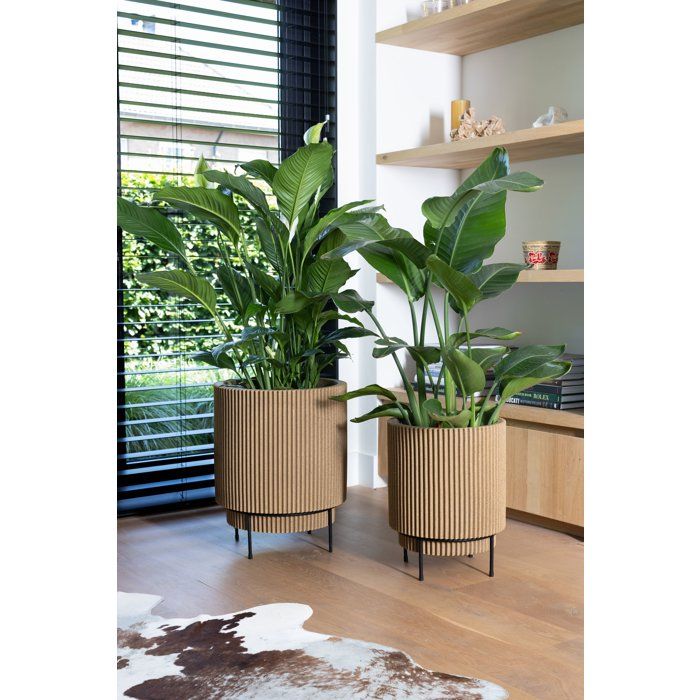 Zylindervase  CAPI EUROPE  Groove NL  44 x 46 cm  Beige