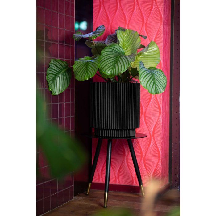 Zylindervase  CAPI EUROPE  Groove NL  44 x 46 cm  Schwarz