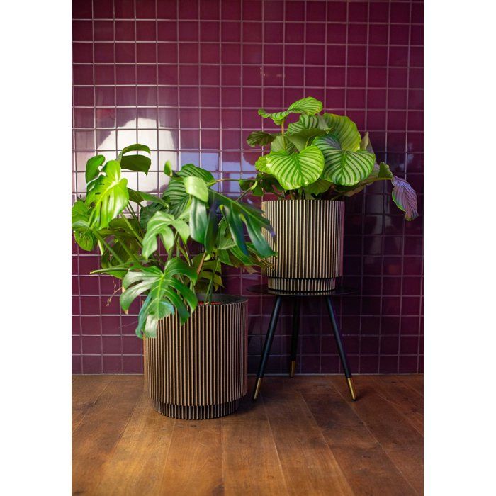 Zylindervase  CAPI EUROPE  Groove NL  44 x 46 cm  Schwarz/Gold