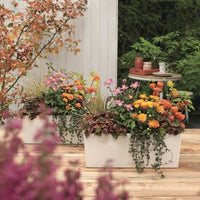 LECHUZA Jardiniere Balconera Color 50 ALL-IN-ONE White 15670