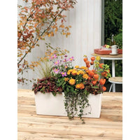 LECHUZA Jardiniere Balconera Color 50 ALL-IN-ONE White 15670