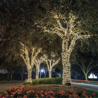 LIGHT GARDEN SOLAR LIGHT YOGY Solar - SOLAR WHITE WHITE LIGHT - 200 LED - 1700 cm
