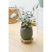 Pflanzenständer mit Rollen  NATURE  WPC H7,5 x Ø30 cm  4 Rollen  Holz