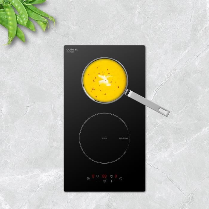 Oceanic Domino Built -in black induction