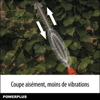 Dual Power Height Size Powdpg75380 - 40 V battery, without battery or charger, 600 mm blade, 20 mm d