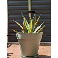 RIVIERA SOLEILLA round flower box - Plastic - Diameter 50 cm - Clay green