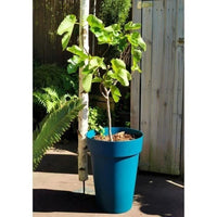 RIVIERA SOLEILLA flower box - Plastic - Height 53 cm - Blue