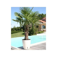 RIVIERA EVA NEW round flower box - Plastic - Diameter 36 cm - Blue