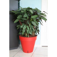 Riviera Loft flower pot with reserve of water - Round - Ø 50 x H 46 cm - Red