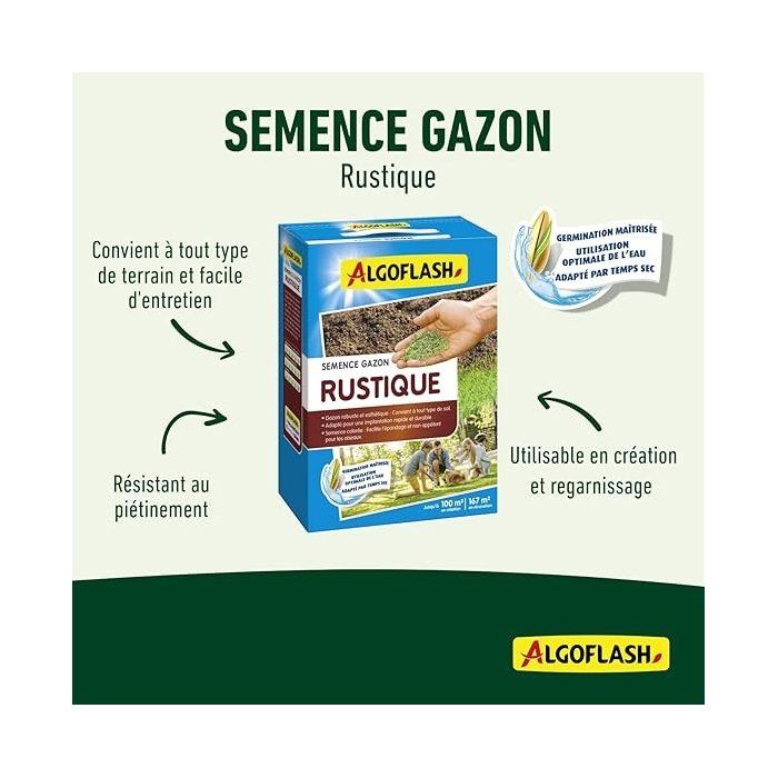 Grassamen - ALGOFLASH - Winterhart - 2,5 kg