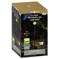 SMART SOLAR 170 cm Solar-Stehlaterne  100 lm, tropfenförmige Glaslinse, kaltweißes LED-Licht
